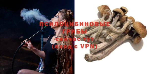 дживик Армянск