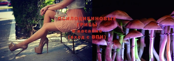 крисы Гусиноозёрск