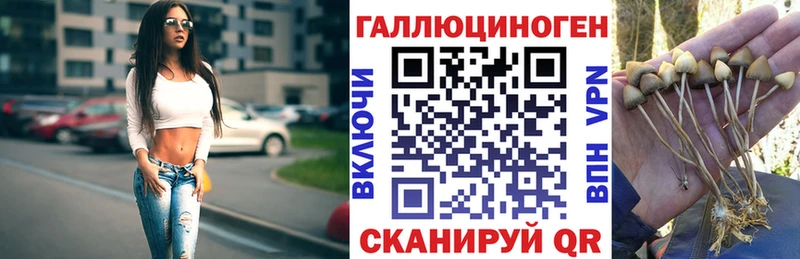 Псилоцибиновые грибы мухоморы  купить наркотик  даркнет состав  Лениногорск  блэк спрут сайт 