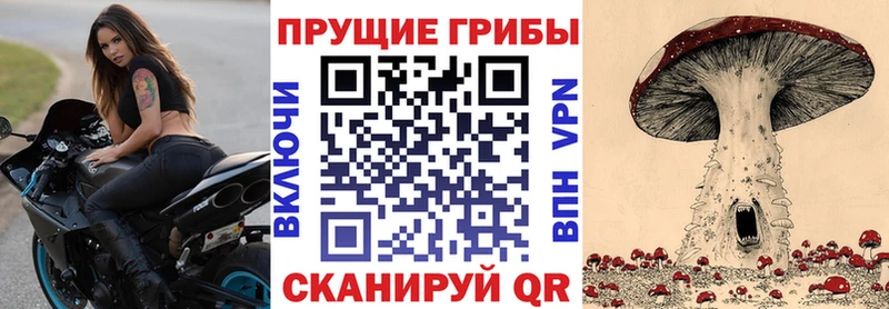 Галлюциногенные грибы Magic Shrooms Лениногорск